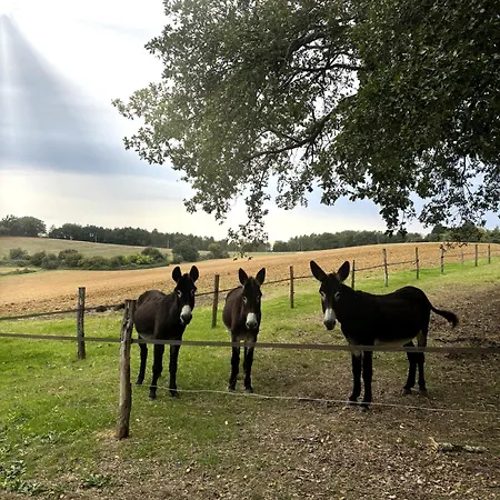 Maison Puchouaou 8 Ou 12 Personnes Avec Piscine Privee Dom wakacyjny Montesquiou